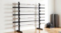 efficient barbell organization system