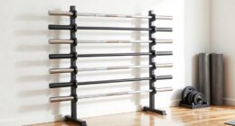 efficient barbell organization system